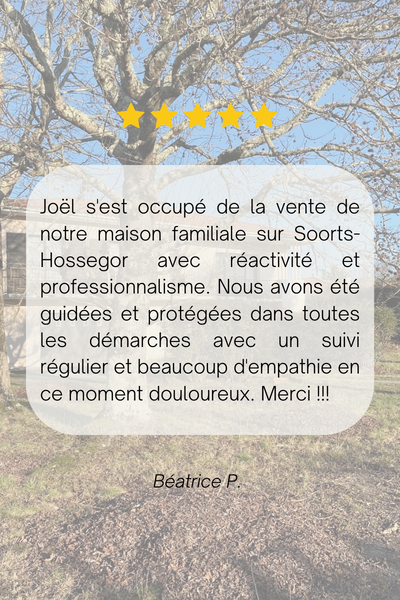 DV IMMOBILIER