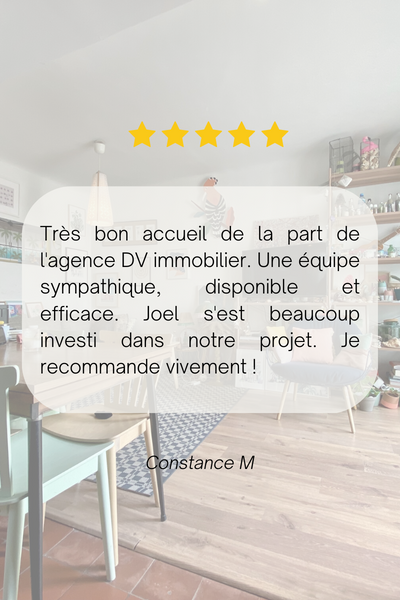 DV IMMOBILIER
