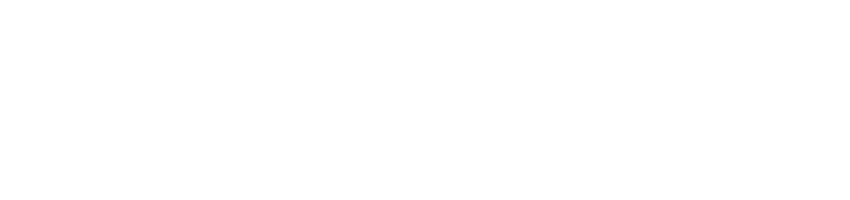 DV IMMOBILIER